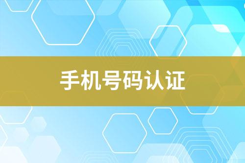 手機(jī)號(hào)碼認(rèn)證